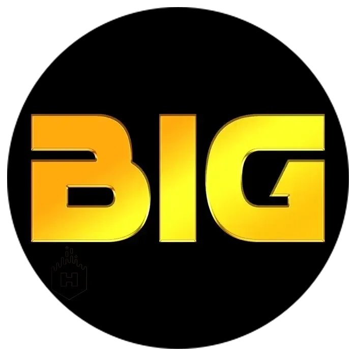 BIGHOKI - Pertarungan Seru dalam Dunia Fighting